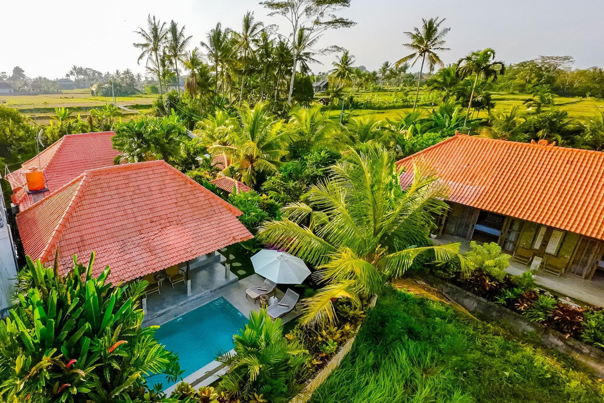 Nyaman Villas By Evdekimi Ubud מראה חיצוני תמונה