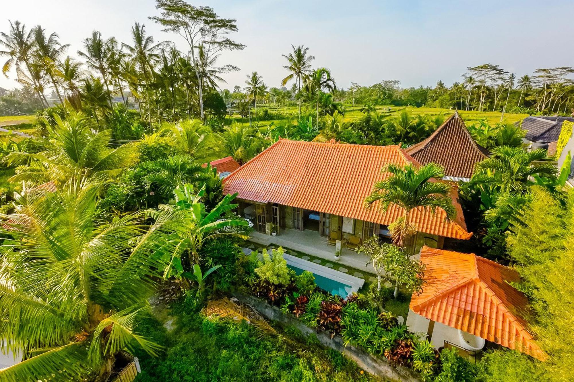 Nyaman Villas By Evdekimi Ubud מראה חיצוני תמונה